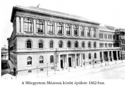 A Megyetem Mzeum krti plete 1882-ben