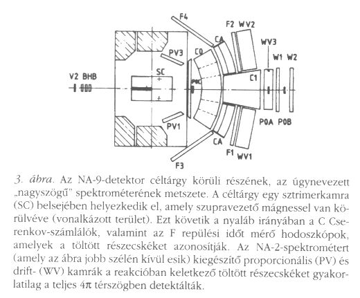 3. bra