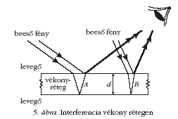 5. bra