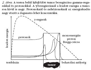 2. bra