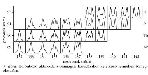 7. bra