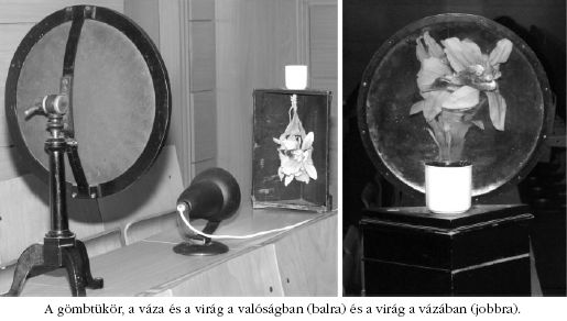 a g�mbt�k�r, a v�za �s a vir�g a val�s�gban