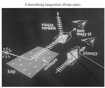 Polarizltsg magyarz brja anno