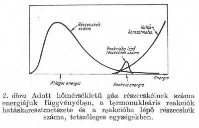 2. bra