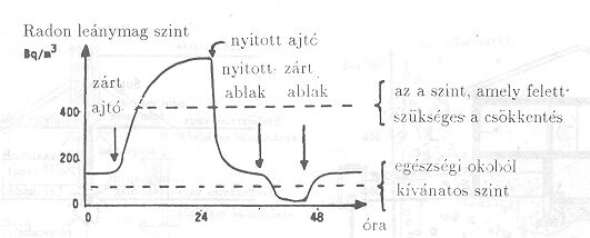 14. bra