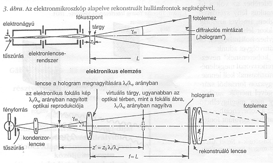 3. bra