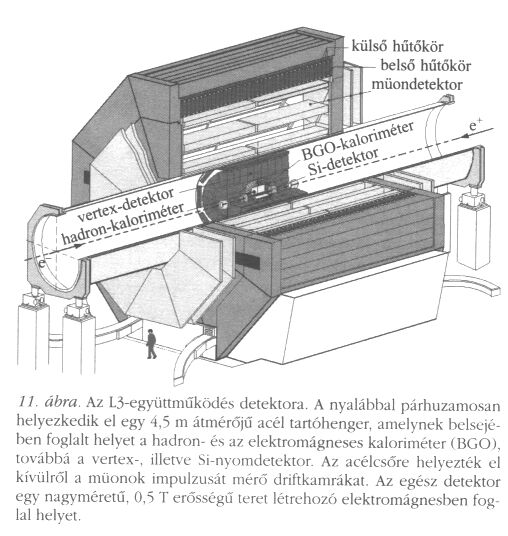 11. bra