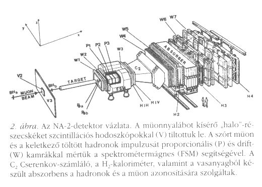 2. bra