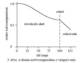 5. bra