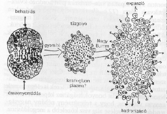 13.
ábra