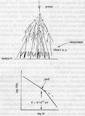 7. ábra