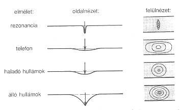 21. bra.